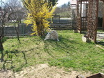 Buck in giardino, marzo 2009